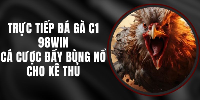 Trực Tiếp Đá Gà C1 98win - Cá Cược Đầy Bùng Nổ Cho Kê Thủ